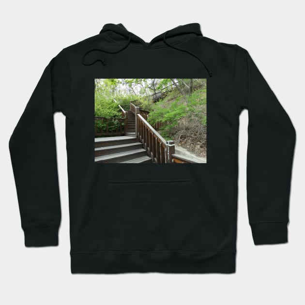 Pathways Collection 3 Hoodie by ALifeSavored